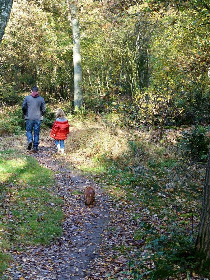 Wildenborcherhof Vorden Luaran gambar