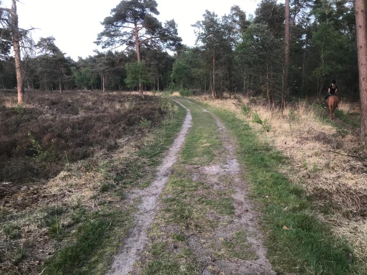 Wildenborcherhof Vorden Luaran gambar